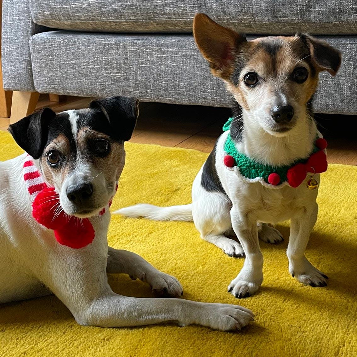 CHRISTMAS Crochet Pet Festive Dress Up Collar with Bell