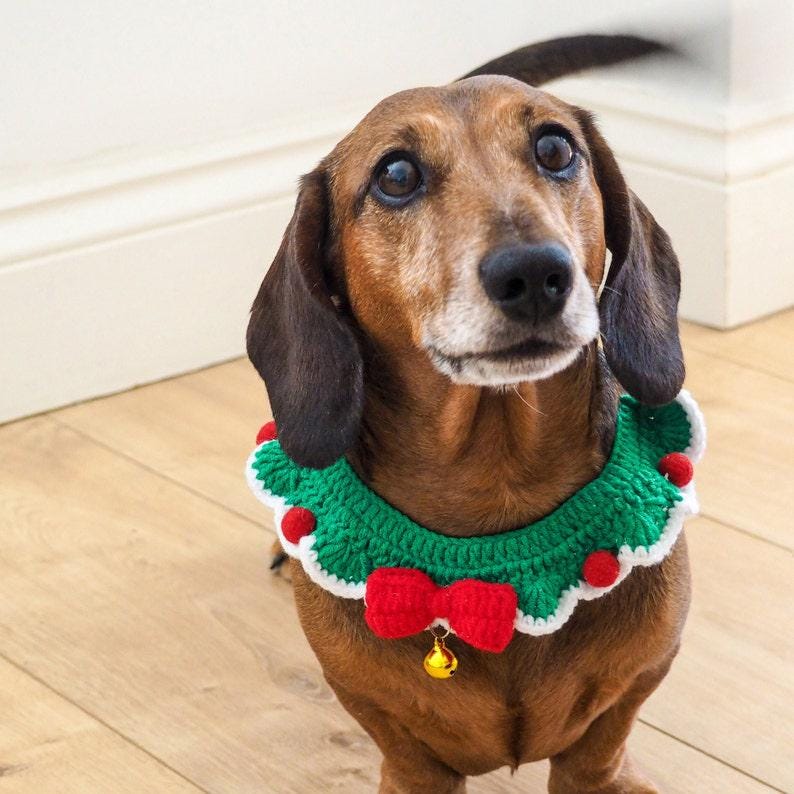 Christmas Pet Dress Up Collar by Talking Tables