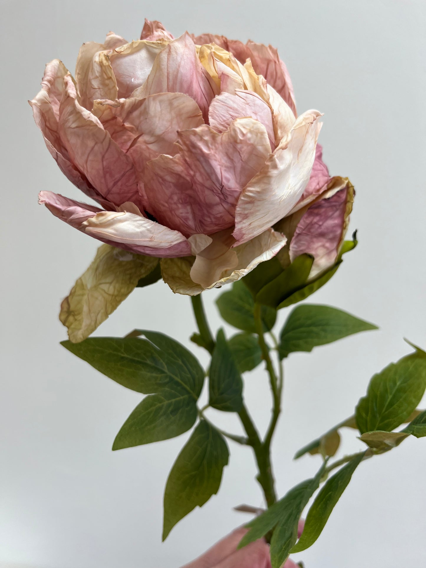 Pastel Peony, Roses and Papaver, Dusky Pink and White Mix Faux Flowers
