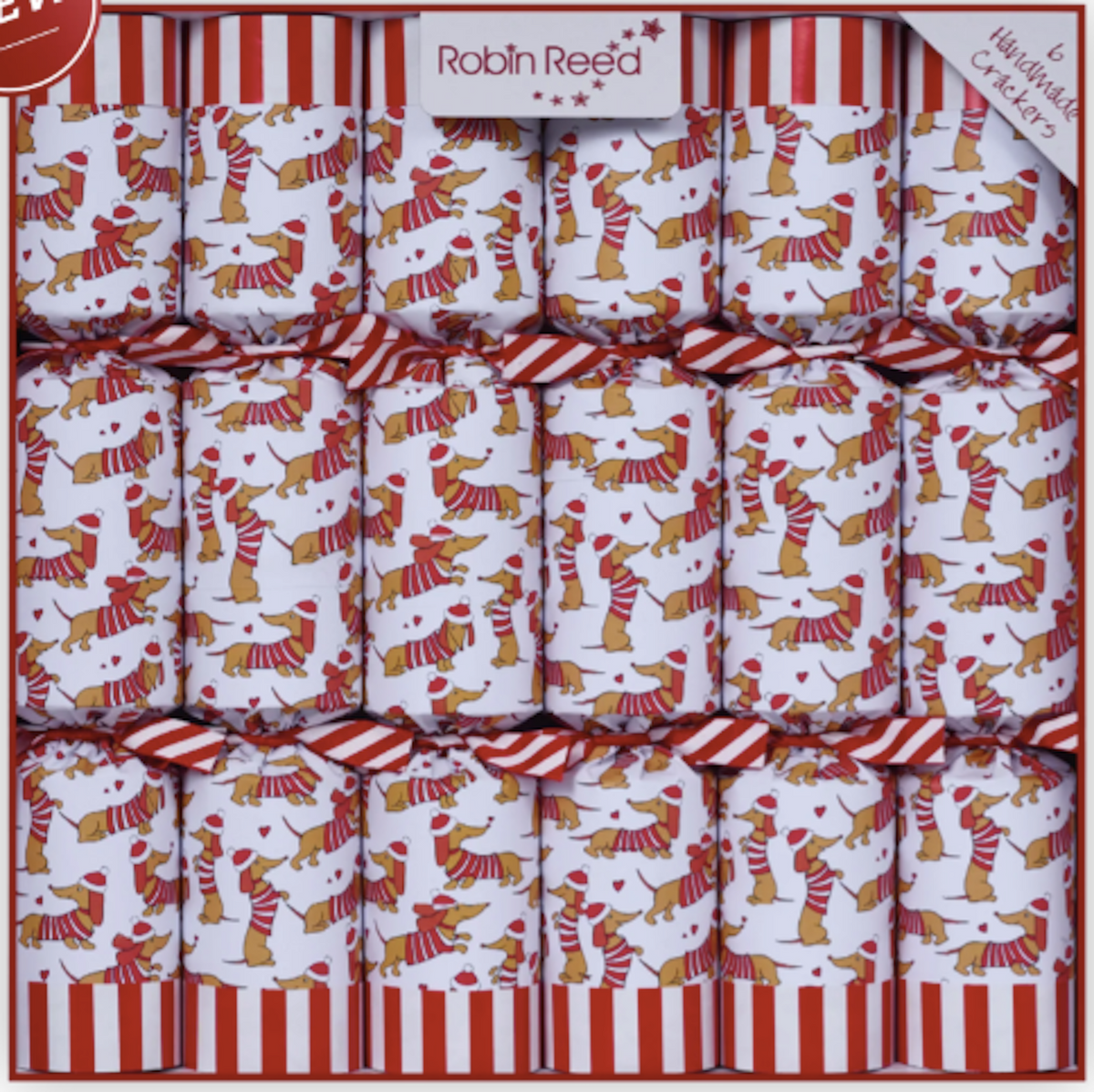 Racing Sausage Dog Dachshund Christmas Crackers One Posh Party 