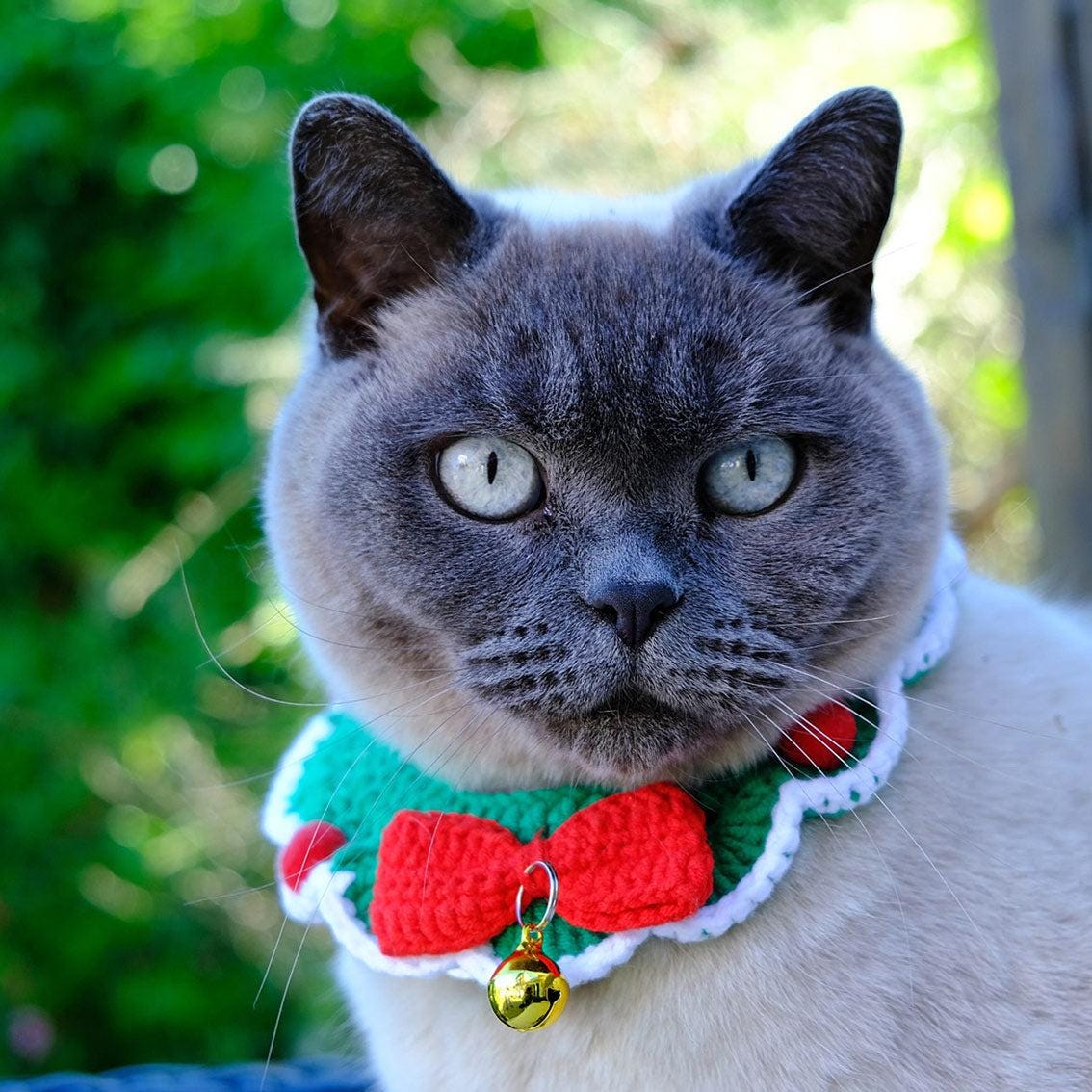 CHRISTMAS Crochet Pet Festive Dress Up Collar with Bell