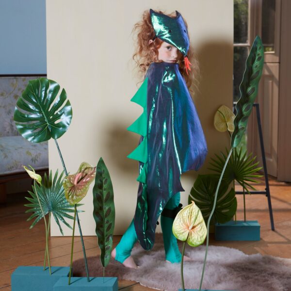 Meri Meri Dragon Dress Up