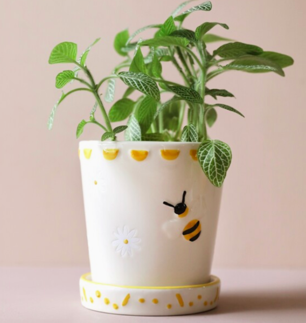 Bee Small Ceramic Planter and Tray by Lisa Angel