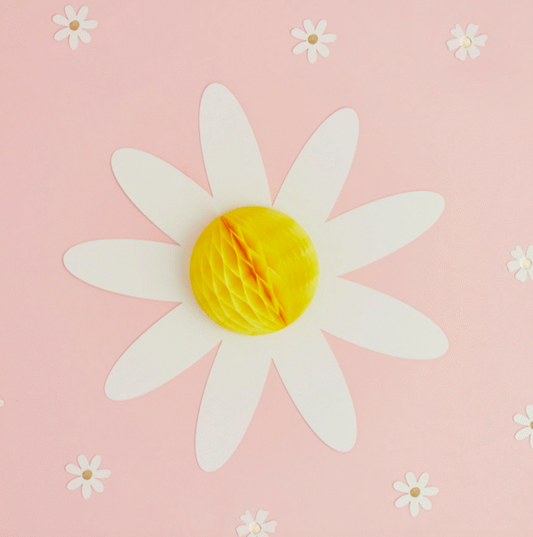 Daisy Honeycomb Decorations by Hootyballoo