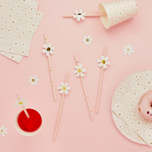 Daisy Party Straws by Hootballoo