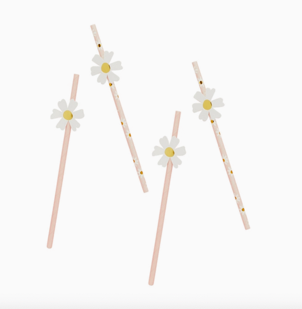 Daisy Party Straws by Hootballoo